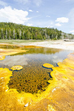 Area of geothermal activity at Yellowstone National Park