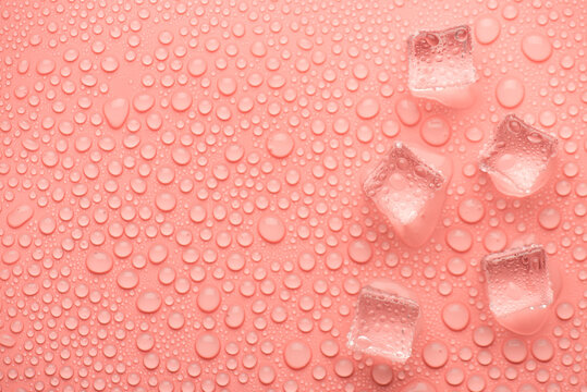 Top above overhead close up view photo image of ice cubes on light pink backdrop with drops