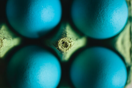 Blue Easter eggs in carton