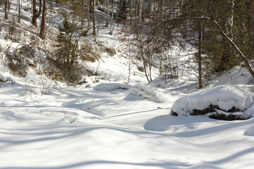 Belokurikha river on a winter day in resort area of the Belokurikha city, Altai Territory, Russia