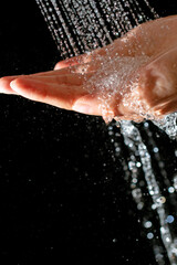 Fototapeta premium hands under running water