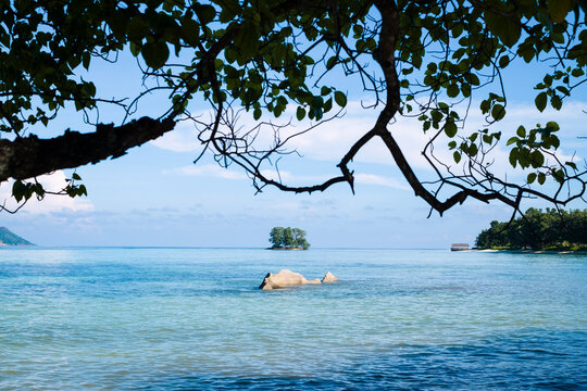 Seascape in La Digue, Seychelles