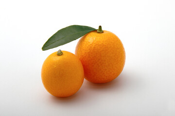 Macro photo of a small kumquat