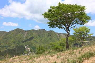 Fototapeta premium 高指山からの風景、 山中湖東にある高指山からの風景。周辺の山々は新緑の季節を迎えている。