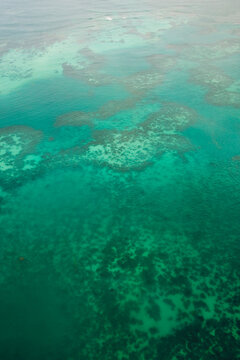 Coral reef in the Seychelles, aerial view