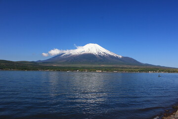 山中湖と冨士山　　青空の中にくっきりそびえる富士山。青い空と青い湖に挟まれる。風が無ければ逆さ富士が見られる。
