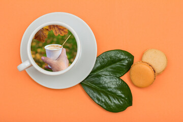Coffee cup and delicious macarons cakes with green leaves