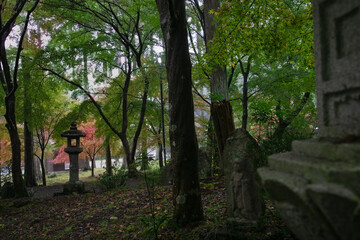 兵庫県・山麓の邸園イメージ