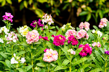 門司のストック