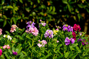 門司のストック