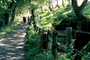 3 distant figures walking along a tree-lined path