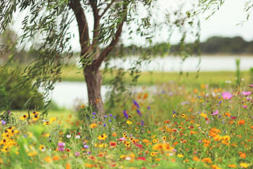 a willow tree surrounded by wild flowers