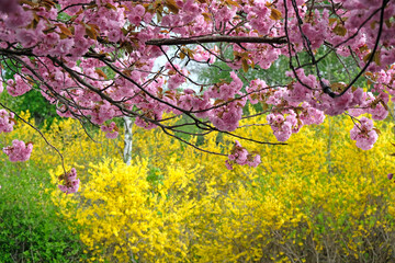 Spring in Oslo, Norway. Museum of Edvard Munch.