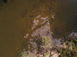 Vertical shots, Molonglo River, ACT, January 2021
