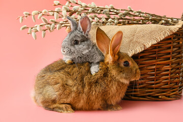 Cute rabbits and wicker basket with pussy willow on color background