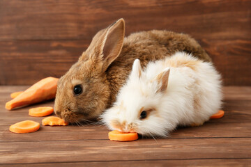 Obraz premium Cute funny rabbits eating carrot on wooden background