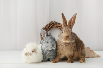 Cute rabbits on light background