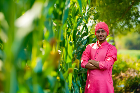 Indian Farmer At Green Corn Field