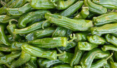 Lots of fresh green peppers. Close up background