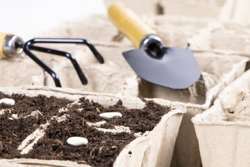 Gardening.Planting seeds in seed pots.Biodegradable paper eco-friendly seed pots.Seedlings in biodegradable pots.Garden shovel and rake. Soil for seedlings.