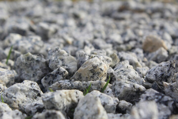 stones on the beach. Pebble stones background. Nature life. Desktop wallpaper. Landscape. 