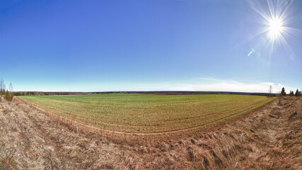 Fototapeta na wymiar landscape with a field and blue sky