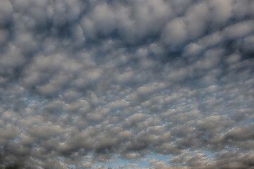 Sky is covered with dark clouds.