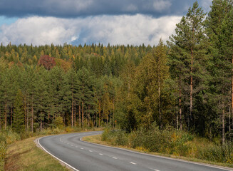 Fototapeta na wymiar Road curving with boreal forst trees on a hill