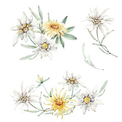 Handpainted watercolor wild flowers and herbs. - 412447338