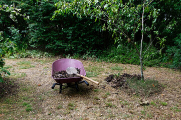 A red or burgundy wheelbarrow has some compost and a shovel in it in the garden