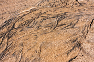 Background from sand. Abstract drawing, which left the water on the sand.