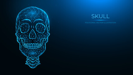 Polygonal vector illustration of a human skull, front view. Low poly anatomical model of the skull and cervical spine on dark blue background.