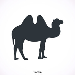 Camel icon silhouette design. Wild animal symbol and element isolated on white background. Vintage hand hand animal pictogram. Stock vector illustration.