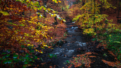 Colour Parade - Farben Parade