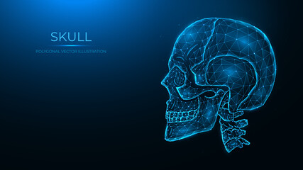 Obraz premium Polygonal vector illustration of a human skull, side view. Anatomical model of the skull and cervical spine on dark blue background.