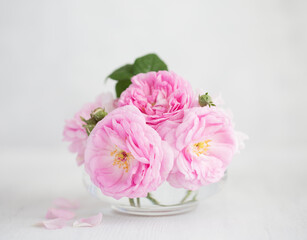 Bouquet of  pale pink Roses against  of light grey wooden background.  Tea Roses.  Shallow depth of field. Selective focus.