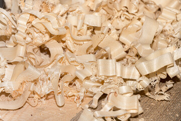 Pile of sawdust and wood shavings