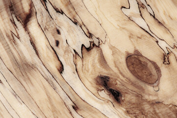 Wood texture Abstract texture. Longitudinal cut birch gnarl (burl,growth, knag, knot)