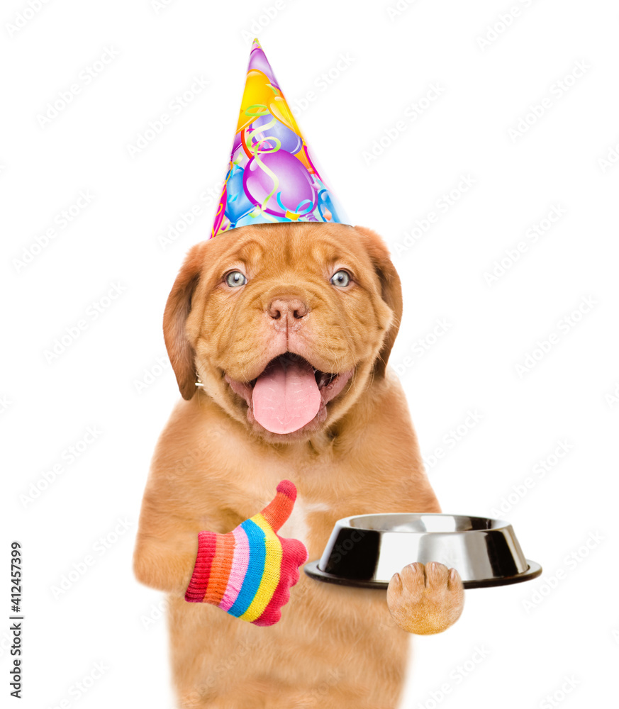 Poster funny puppy with open mouth wearing a party cap holds empty bowl. isolated on white background