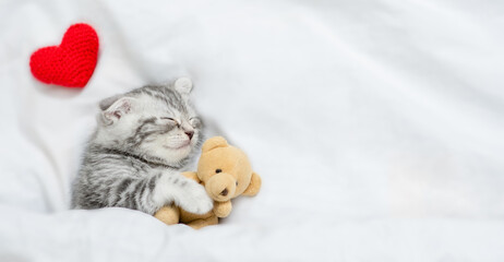 Sleepy kitten lies with red heart on a bed under blanket. Valentines day concept. Top down view....
