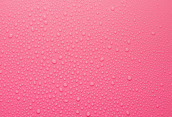 Water drops on pink background