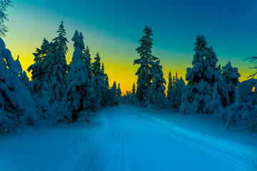 Cross country skiing slope running through a snow covered frozen forest at dusk.