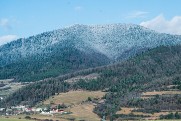 Fototapeta na wymiar Snow on trees on a mountain 