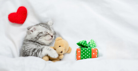 Cute tabby kitten sleeps under white blanket with red heart and gift box and hugs toy bear. Top...
