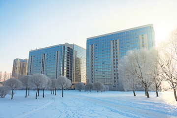 Multi-storey buildings near the city park in hoarfrost after a night fog during severe frosts.