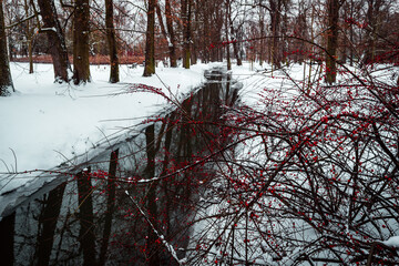 Rzeka w parku zimą