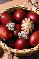 Easter background, spring flowers with easter eggs.