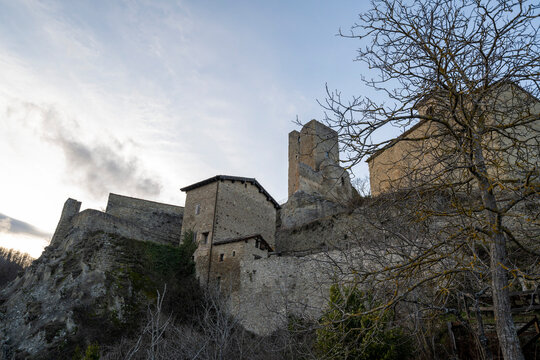 Contessa Bilder Durchsuchen 153 Archivfotos, und