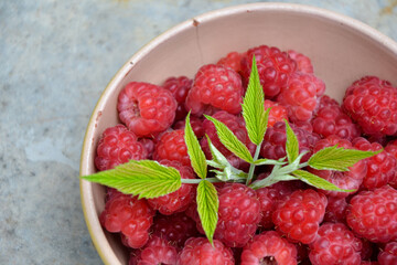 Raspberry background. Organic berries harvest. Fresh raspberries from village garden. Berry for desserts, cakes, smoothie or jam.