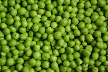 Green pea background. Pea pods from farmland. Pea freshly picked. Organic fresh vegetables. Healthy eating. Country garden harvest.